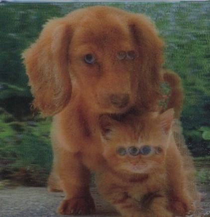 Pejsek a kočička - magnet (MCG26)