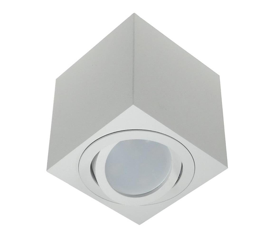 Bodové svítidlo FEBE 1xGU10/30W/230V bílá