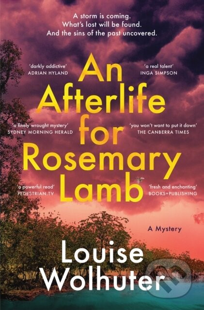An Afterlife for Rosemary Lamb - Louise Wolhuter