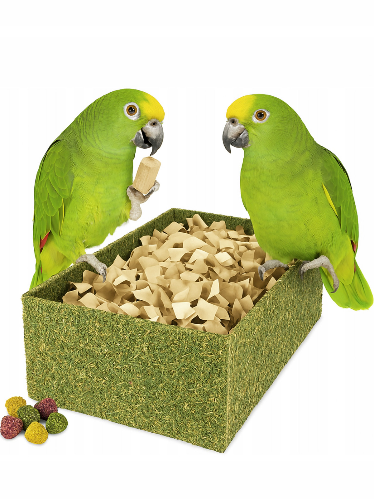 Jr Farm Krabička na krmení pro všechny papoušky