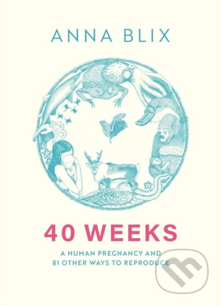 40 Weeks - Anna Blix