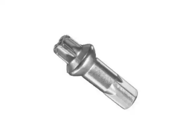 DT Swiss Squorx ProHead ProLock mosaz nipl 2,0x15 mm stříbrný