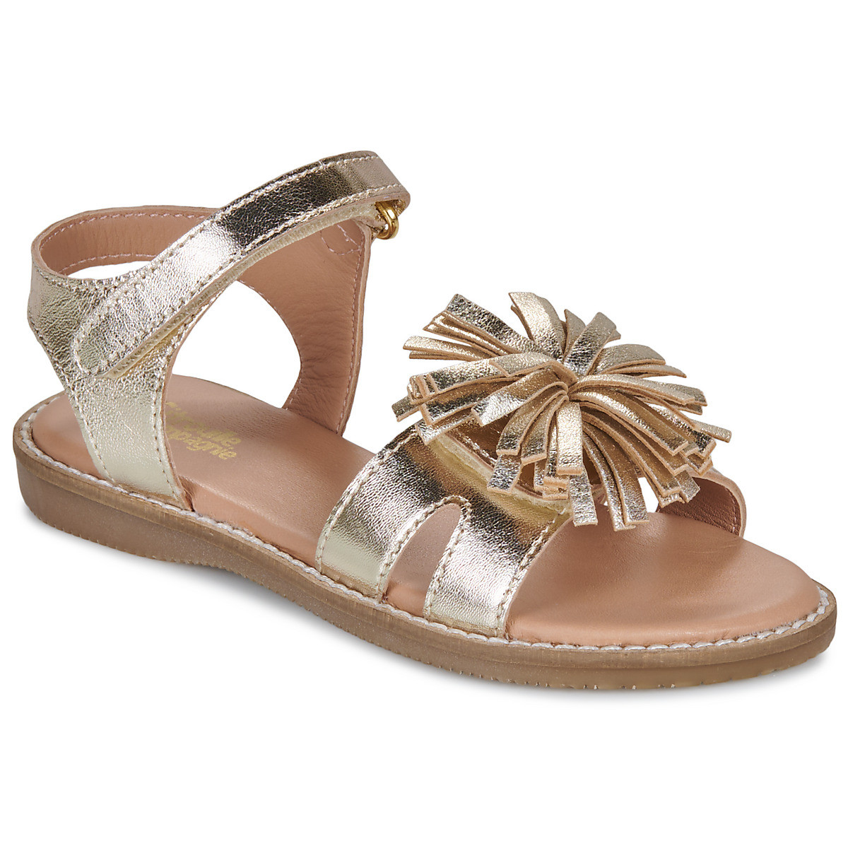 Citrouille et Compagnie  PETALE  Zlatá