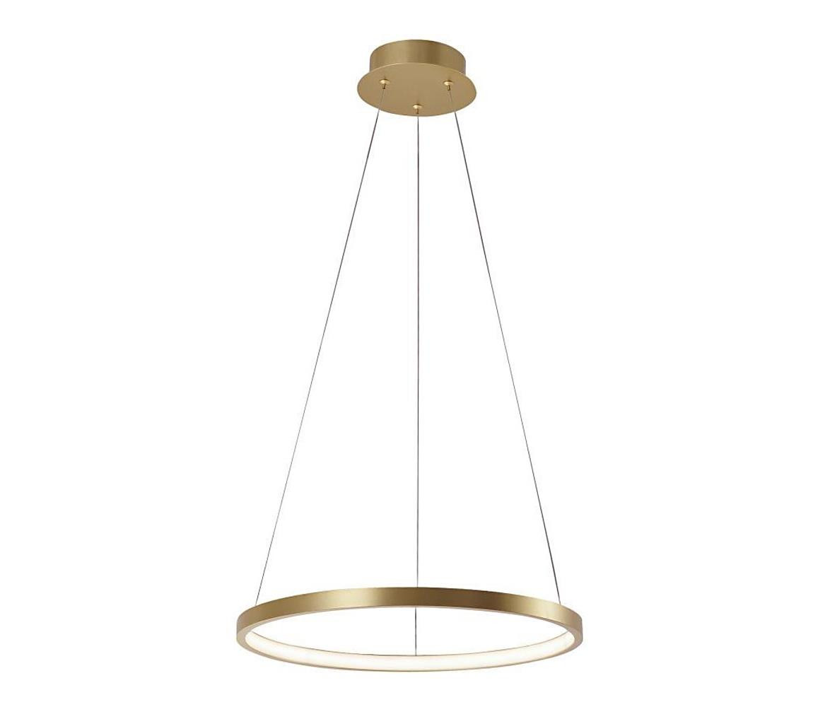 Leuchten Direkt Leuchten Direkt 11522-12 - LED Lustr na lanku CIRCLE LED/19W/230V