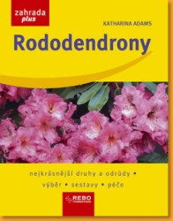 Rododendrony | ADAMS, Katharina