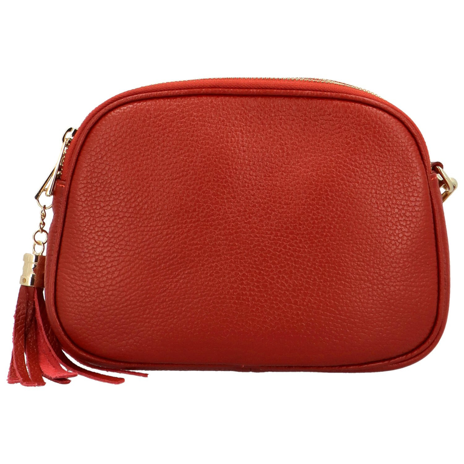 Módní dámská zlatá crossbody kabelka Anallisa, cihlově červená