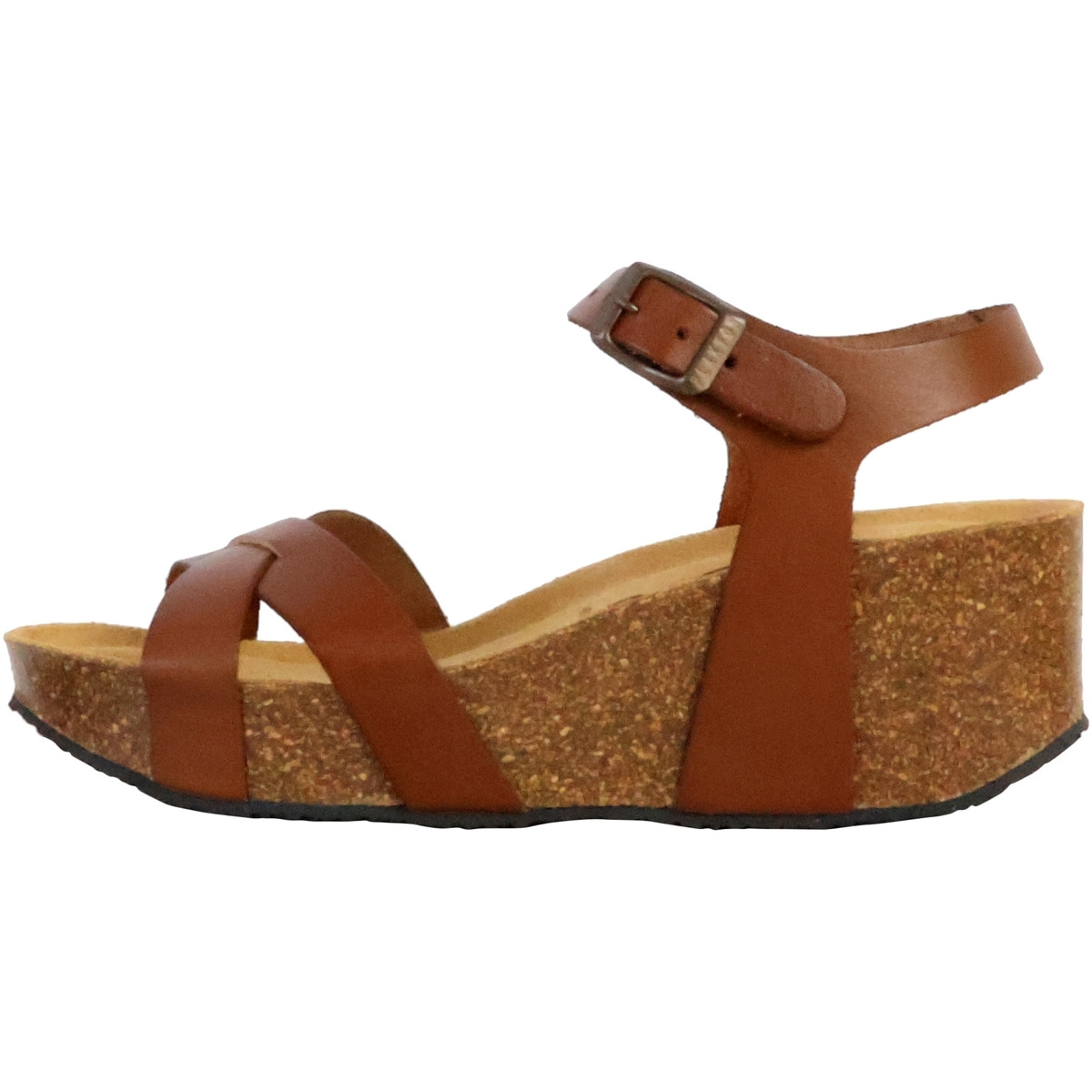 Plakton  250406  Béžová