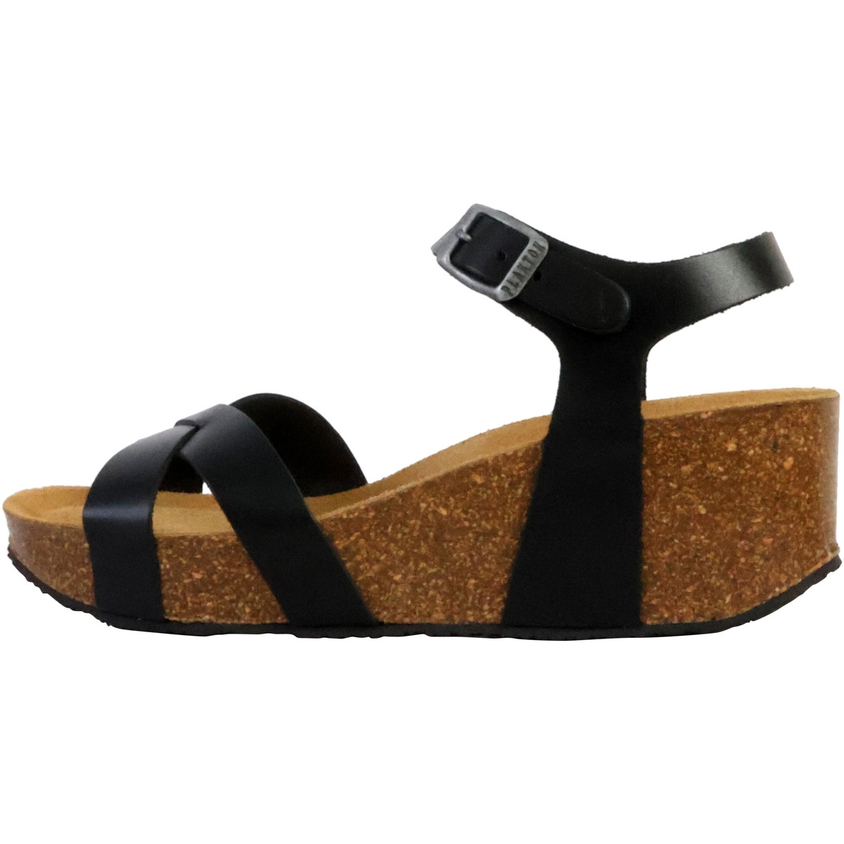 Plakton  250418  Černá