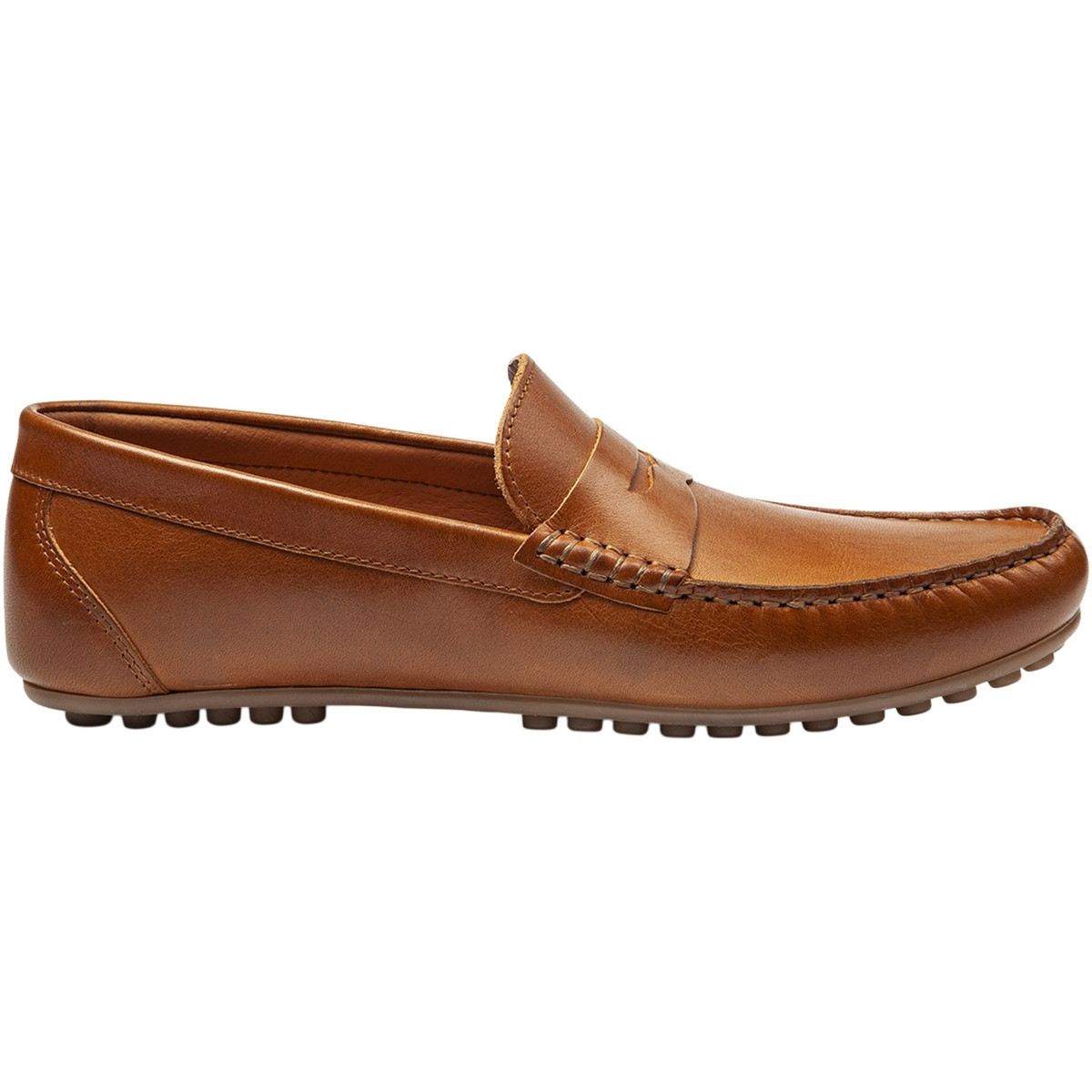 Les Tropéziennes par M Belarbi  258963  Hnědá