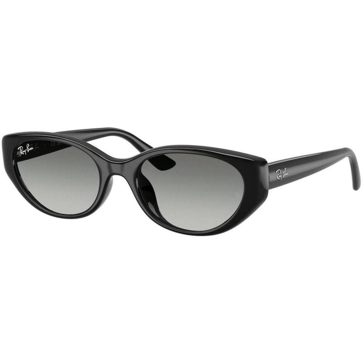 Ray-ban  UNISEX 0RB4457D 667711  Černá