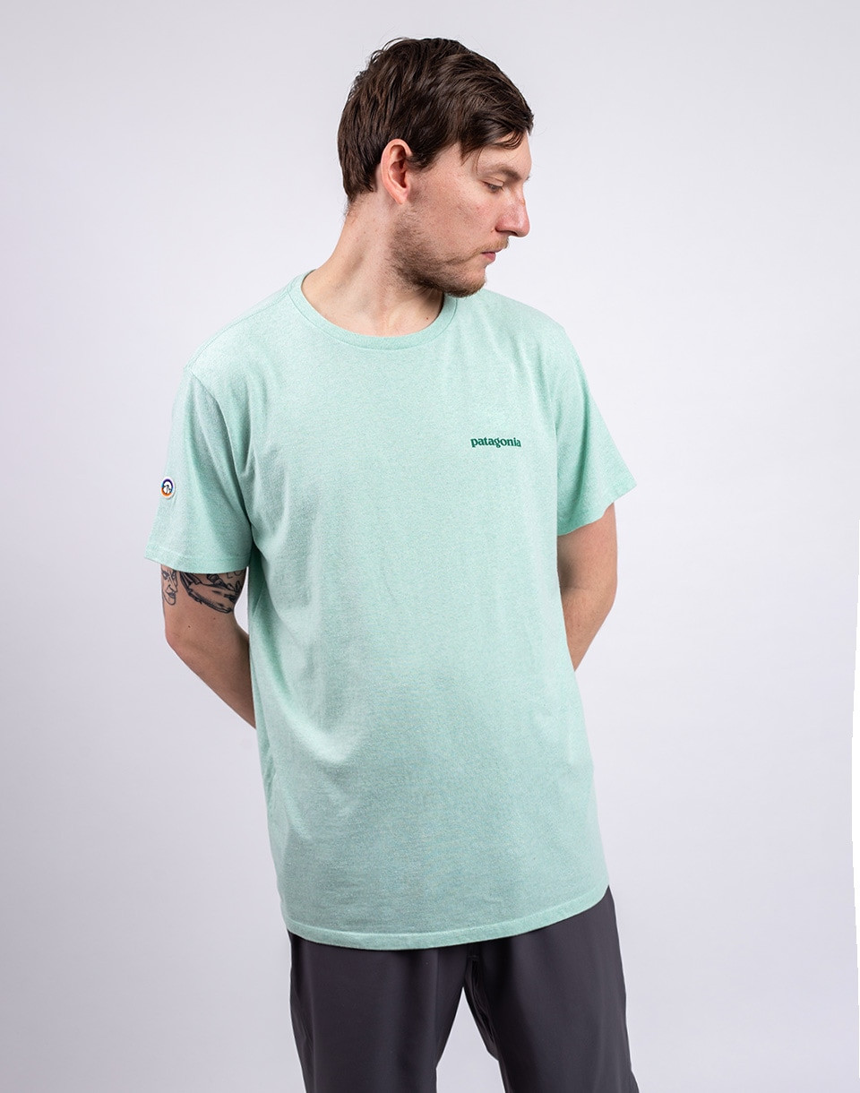 Patagonia Fitz Roy Icon Responsibili-Tee Rinsed Green XS