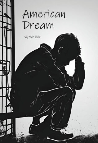 American dream - Vojtěch Žák - e-kniha