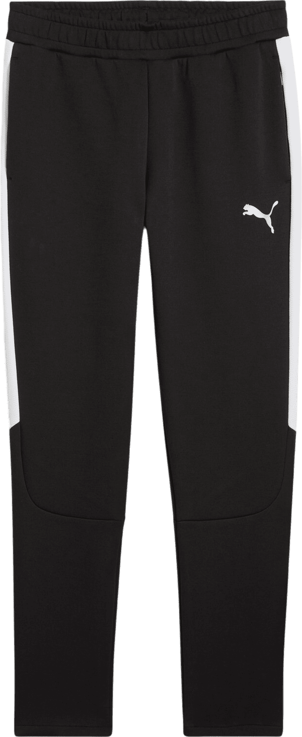 Kalhoty Puma teamEVOSTRIPE Pants