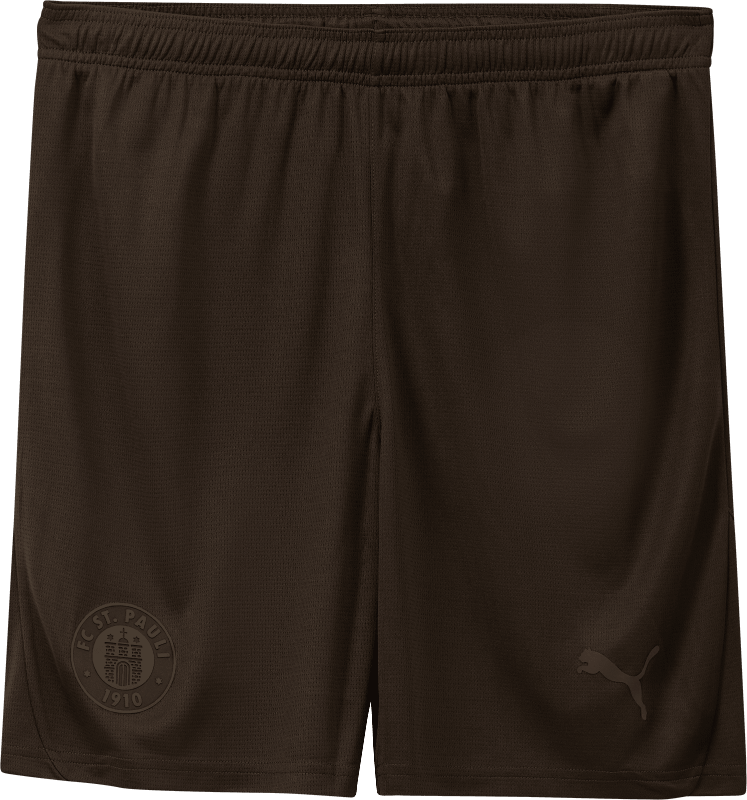 Šortky Puma  FC St. Pauli Special Short 2024/25