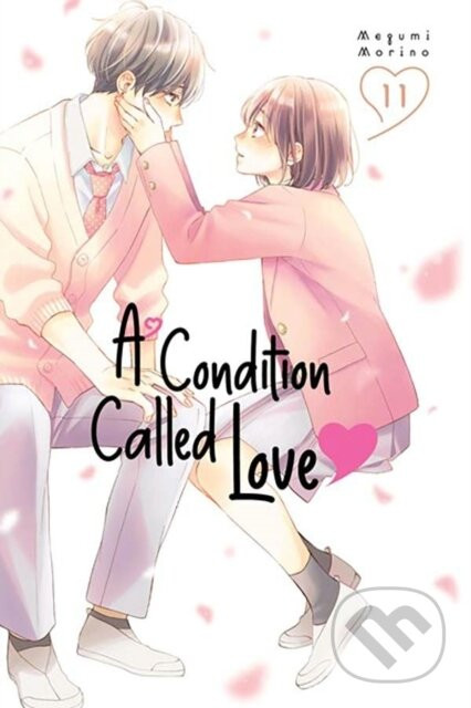 A Condition Called Love 11 - Megumi Morino