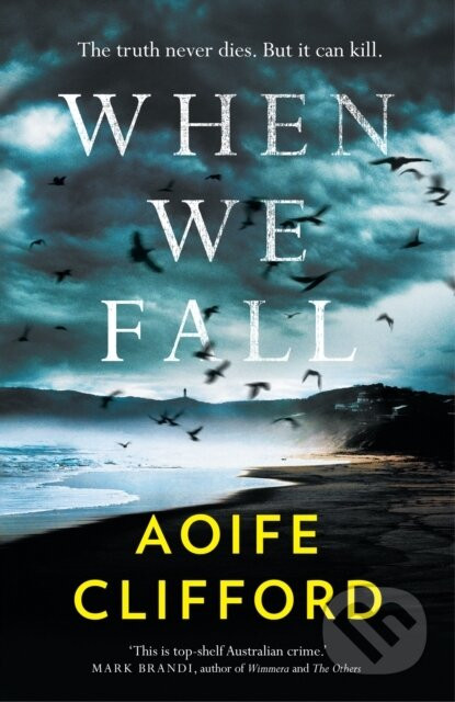 When We Fall - Aoife Clifford