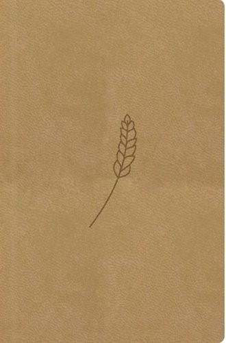 Bible, překlad 21. století (medová) - kapesní