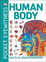 Pocket Eyewitness Human Body - Facts at Your Fingertips (DK)(Paperback / softback)