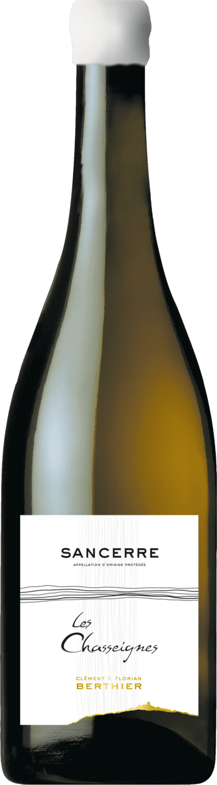 Clement & Florian Berthier Sancerre Les Chasseignes 2020