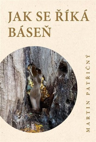 Jak se říká báseň - Martin Patřičný