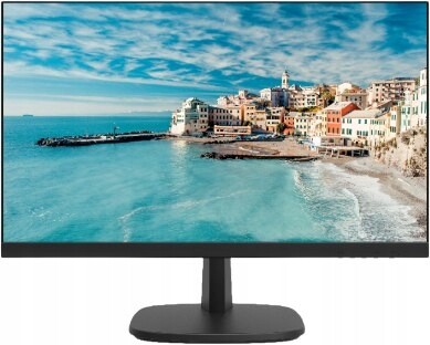 Monitor DS-D5024FN/EU Hikvision