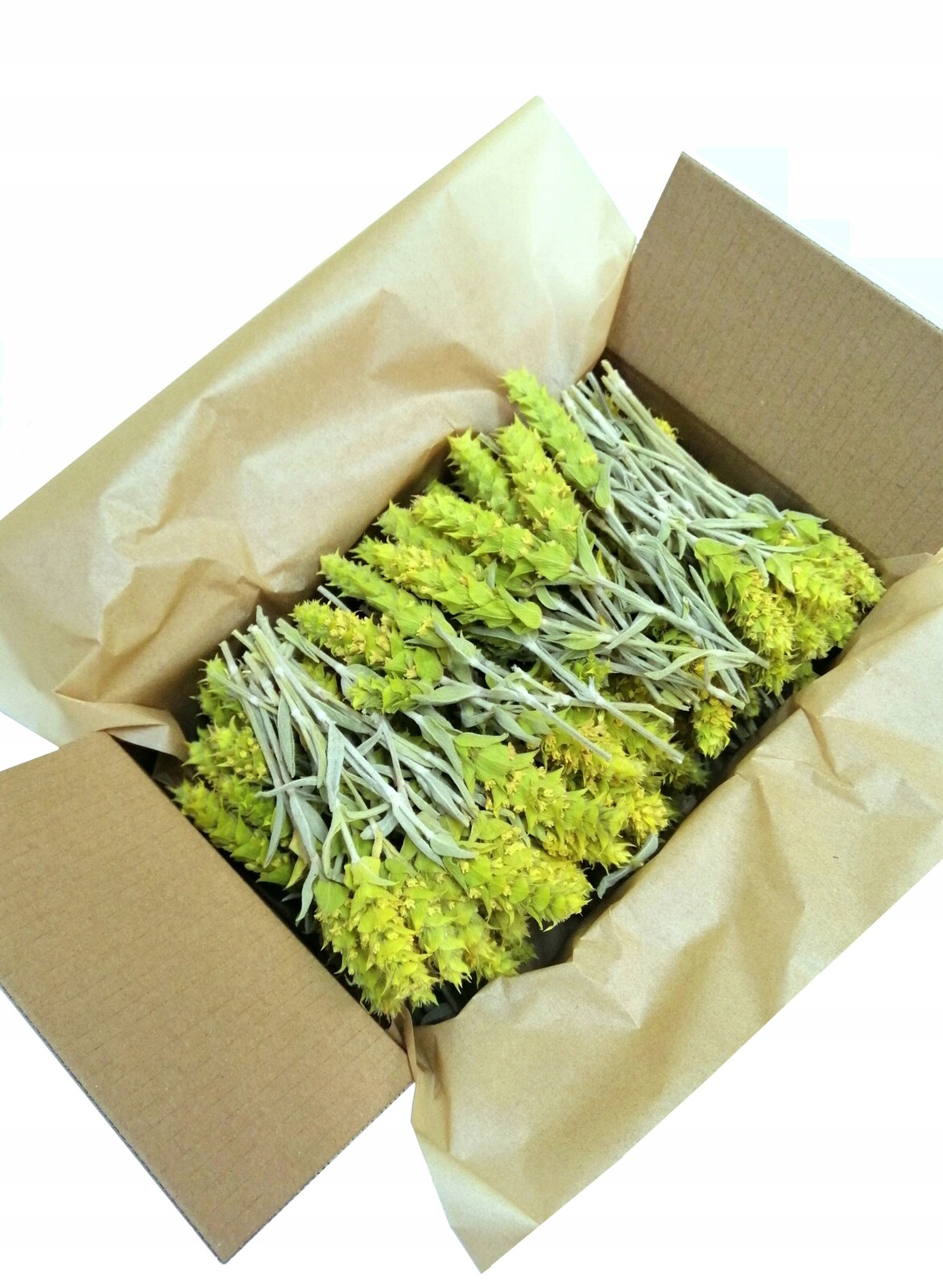 Gojnik z Olympu bio 150g řecký sideritis scardica