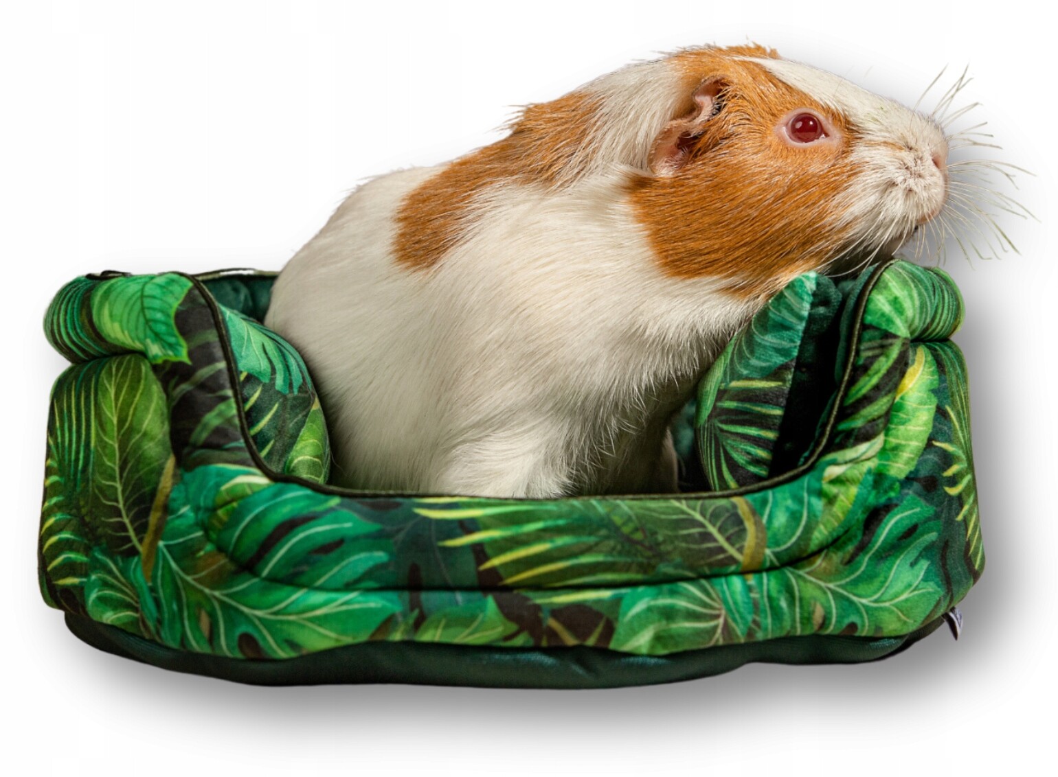 Kraina Tuptusia pelíšek kulatý S pro ježky