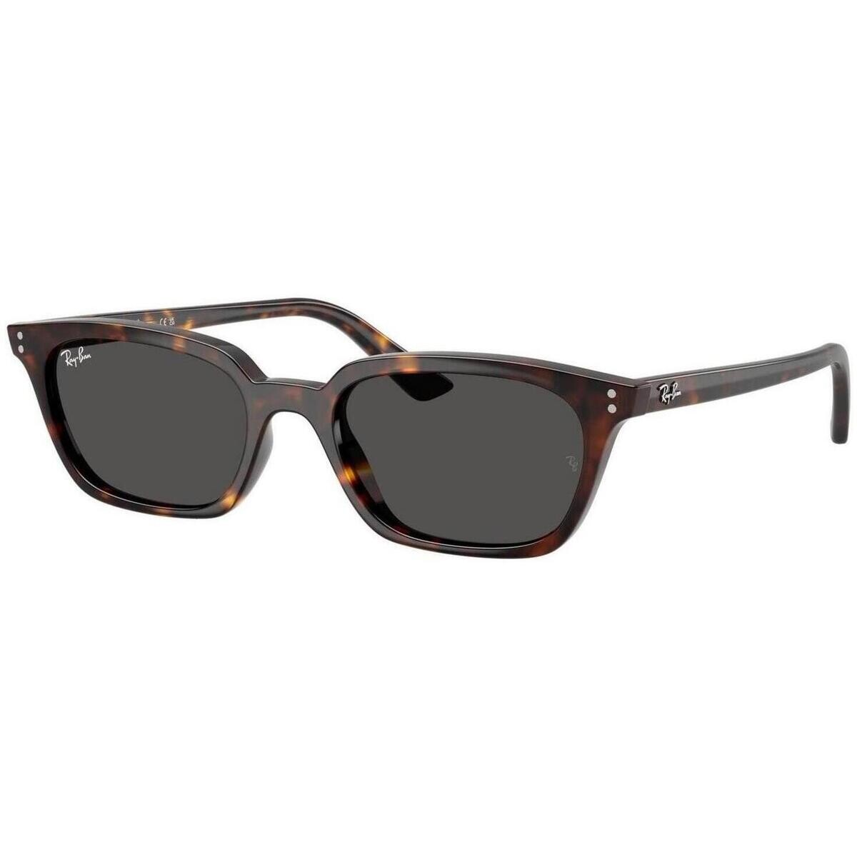 Ray-ban  ZAYA UNISEX 0RB4456 135987  Hnědá