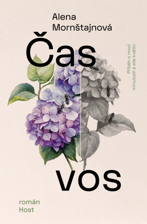 PŘEDPRODEJ: Čas vos - Alena Mornštajnová - e-kniha