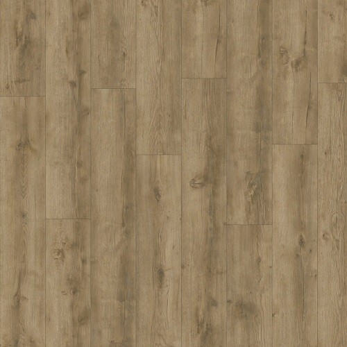 AVVIO - Major Oak 24863