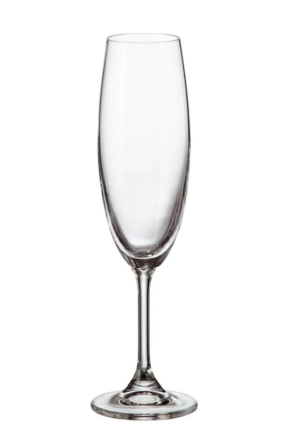 Crystalite Bohemia sklenice na šampaňské Sylvia 220 ml 1KS