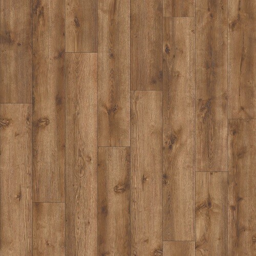 AVVIO - Major Oak 24847