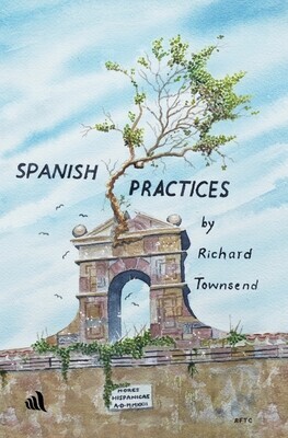 Spanish Practices -  (Townsend Richard)(Paperback)