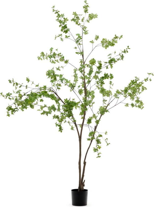 Umělá rostlina (výška 214 cm) Enkianthus – Kave Home