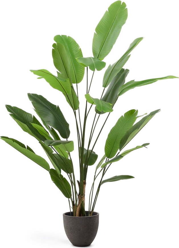 Umělý banánovník (výška 210 cm) – Kave Home