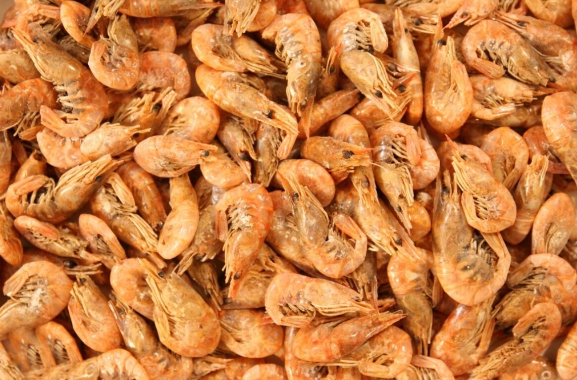 Sušené Krevety Shrimps Glopex Krmivo Pro Želvy 5 Kg Sušená Kreveta