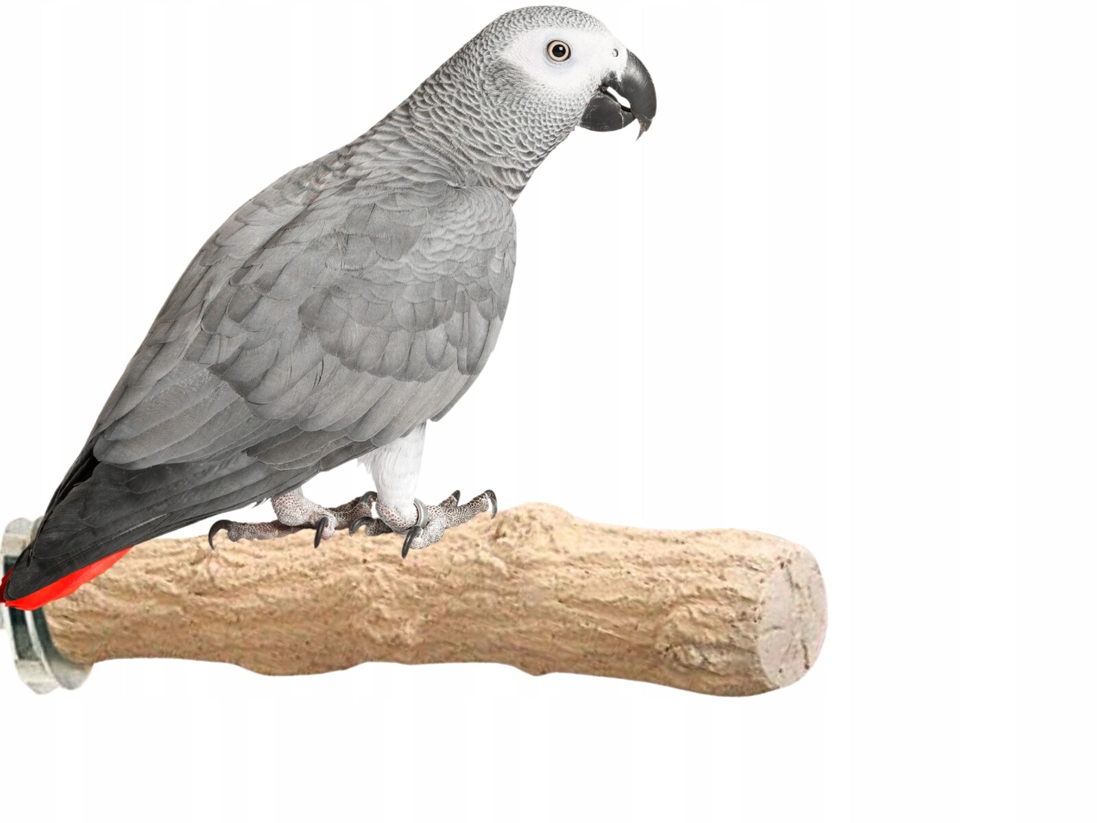 Žerď pro papoušky na péči o drápky, průměr 4 cm