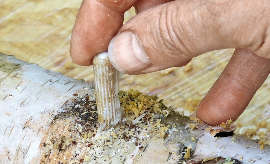 Podhoubí na kolíčky Sada XXL