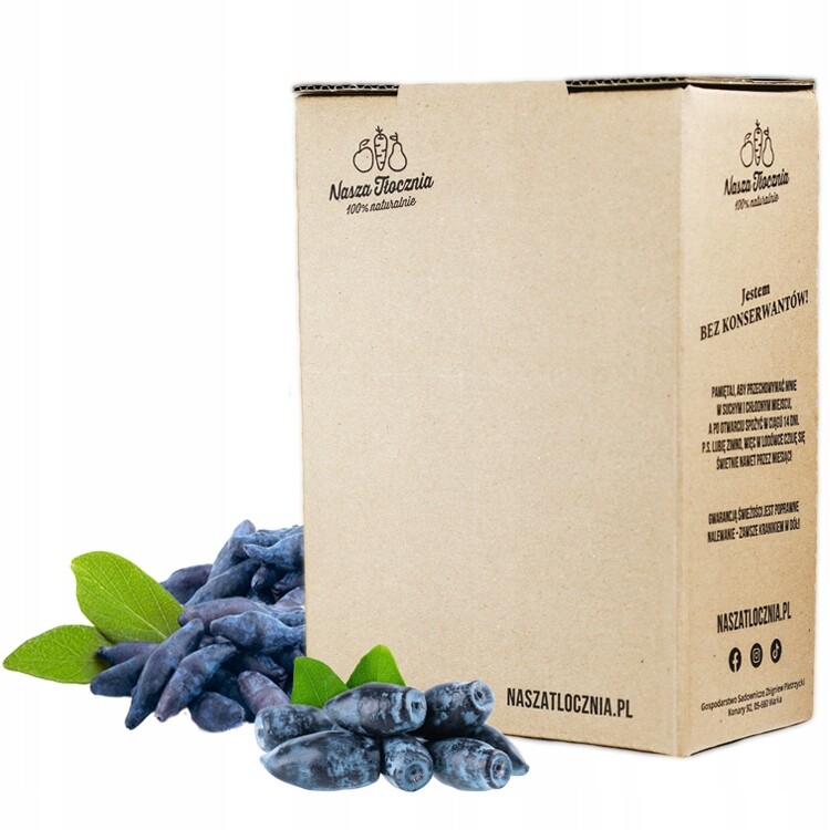 Lisovaná šťáva 100% Borůvka Kamčatská sokoli zrak snižuje cholesterol Nfc 3L