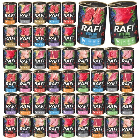 Dolina Noteci Rafi mix chutí 48x400g