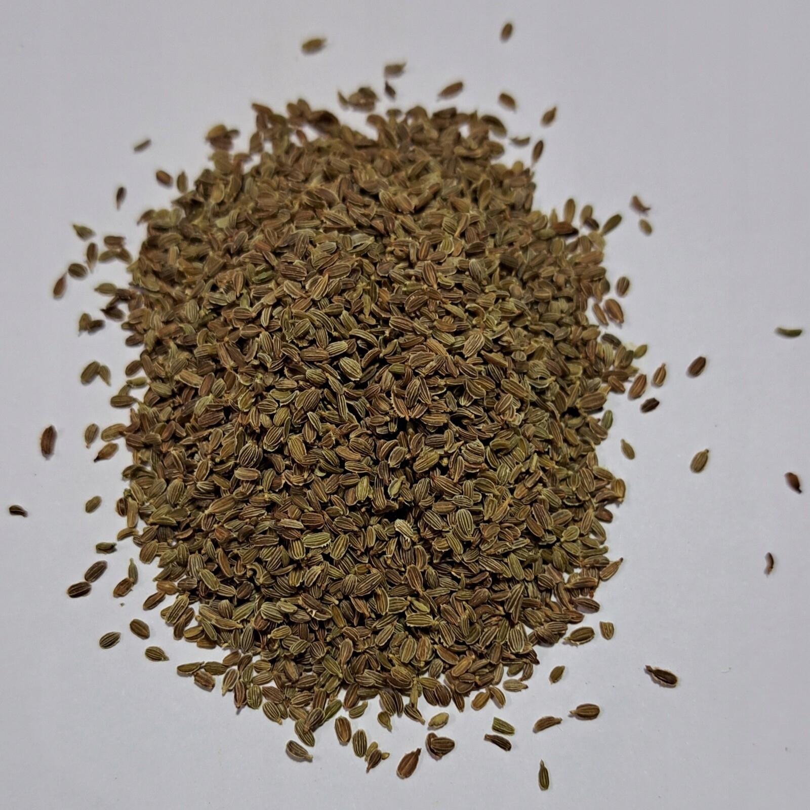 Mrkev Semena 1 kg Rafex