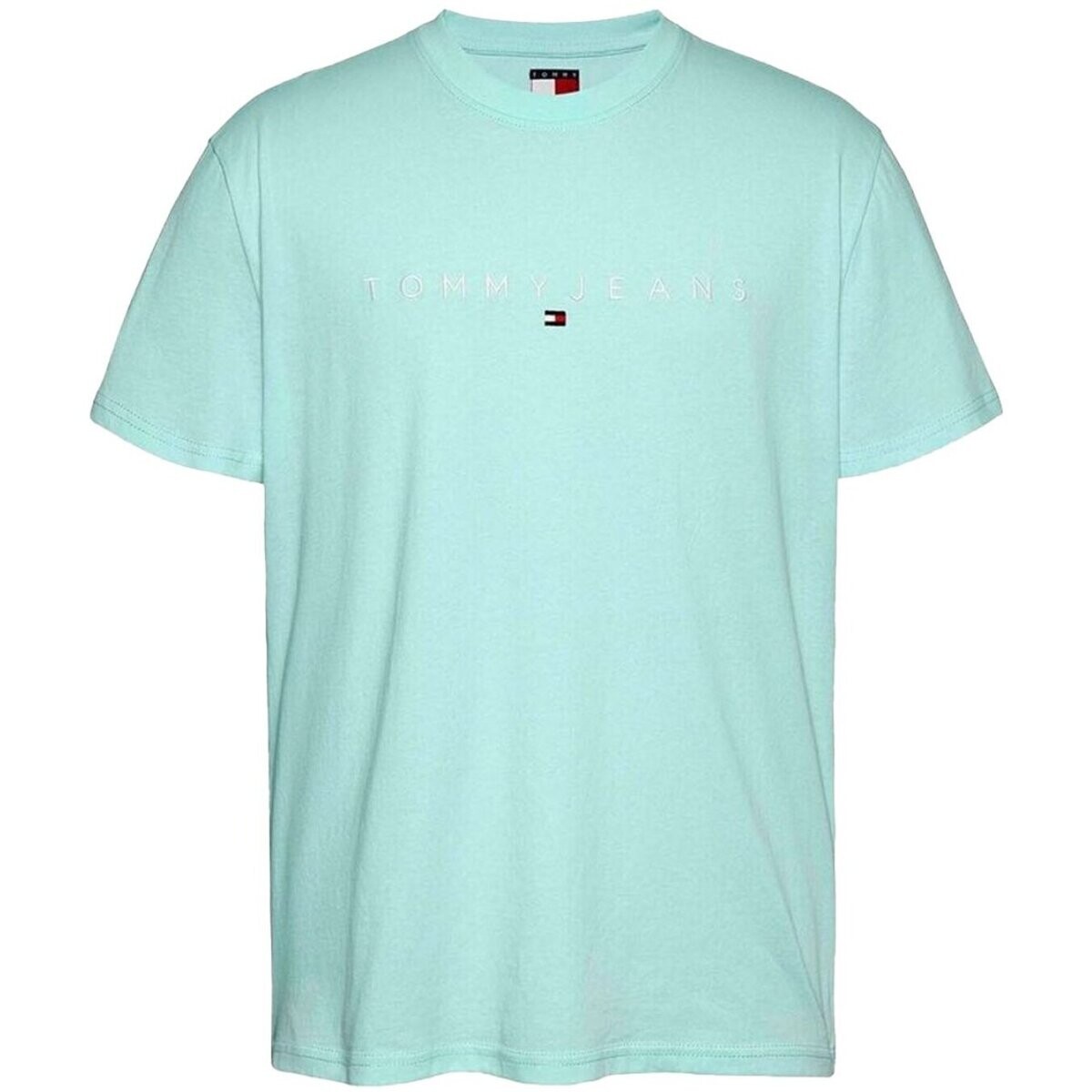 Tommy Jeans  DM0DM20744  Zelená