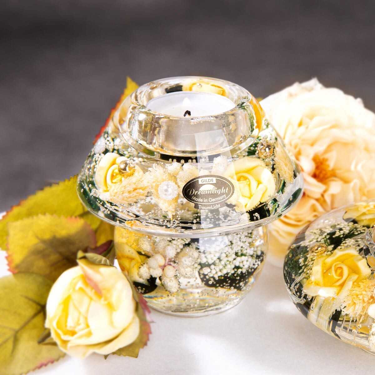 Gilde Svícen Noblesse - bílé květy, malý