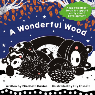 A Wonderful Wood - Elizabeth Davies
