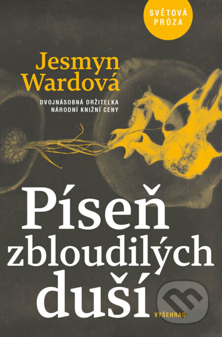 Píseň zbloudilých duší - Jesmyn Ward