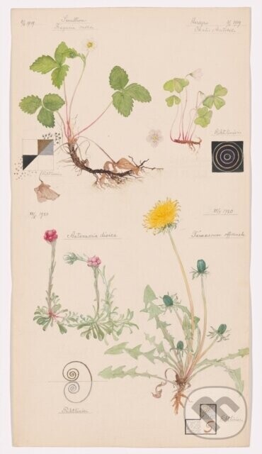 Hilma af Klint - Jodi (Ed) Hauptman