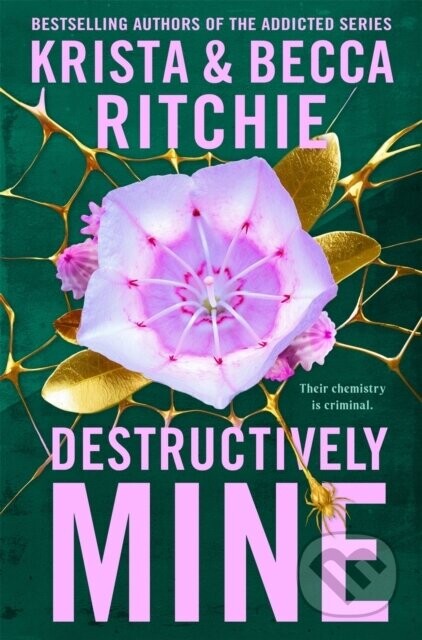 Destructively Mine - Krista Ritchie