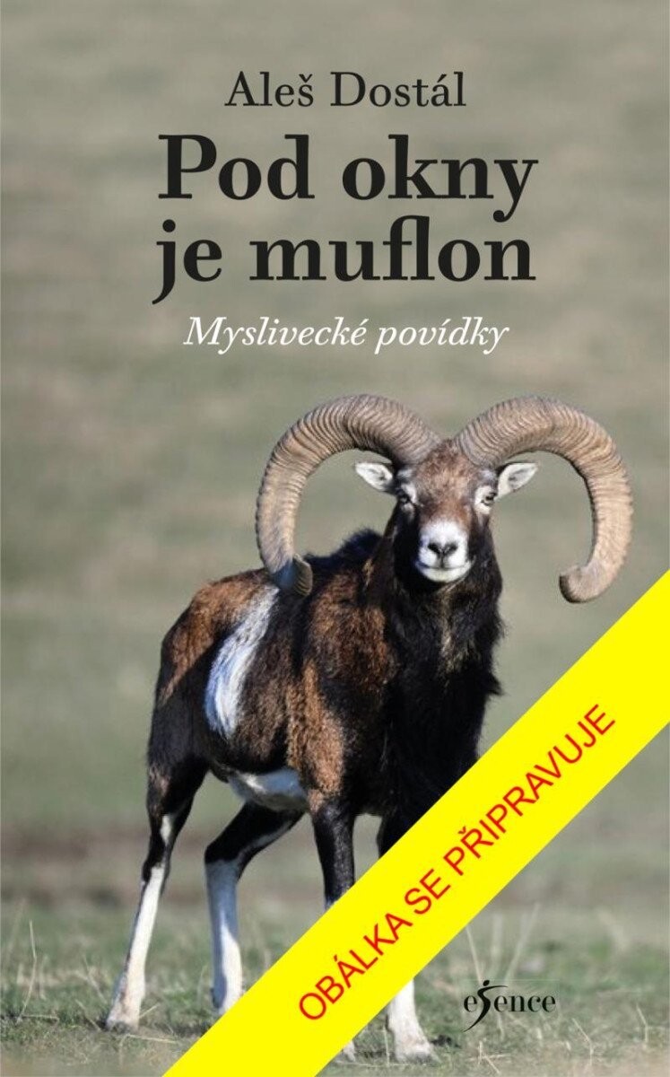 Pod okny je muflon - Aleš Dostál