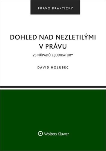 Dohled nad nezletilými v právu - David Holubec