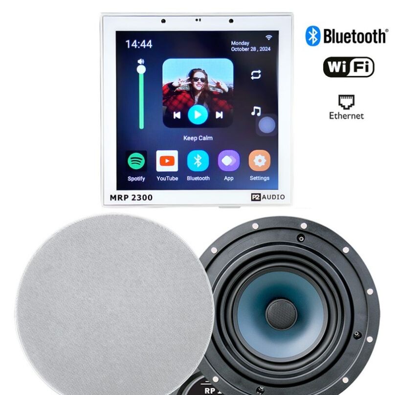 P2 Audio Internetové Podomítkové Rádio Wifi Bt Reproduktory Dexon 50W